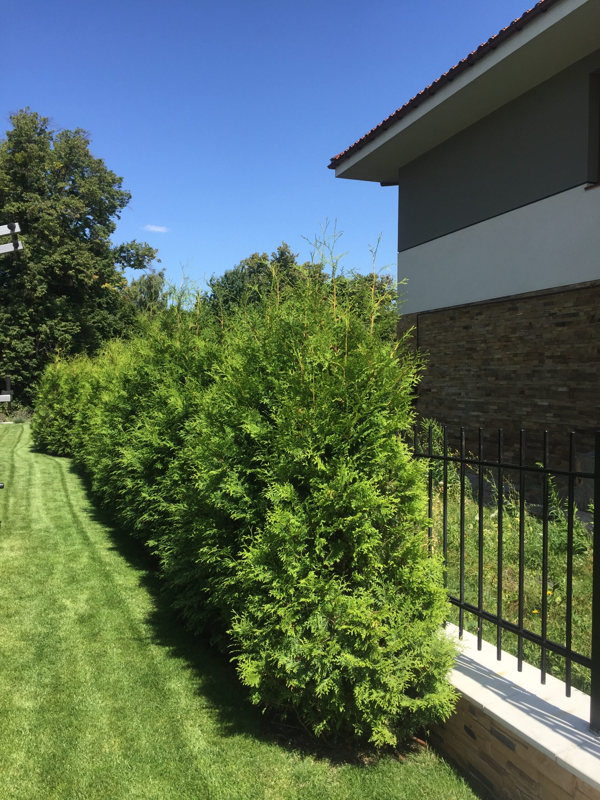 maetok (9)