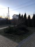 bogdanivka (8)